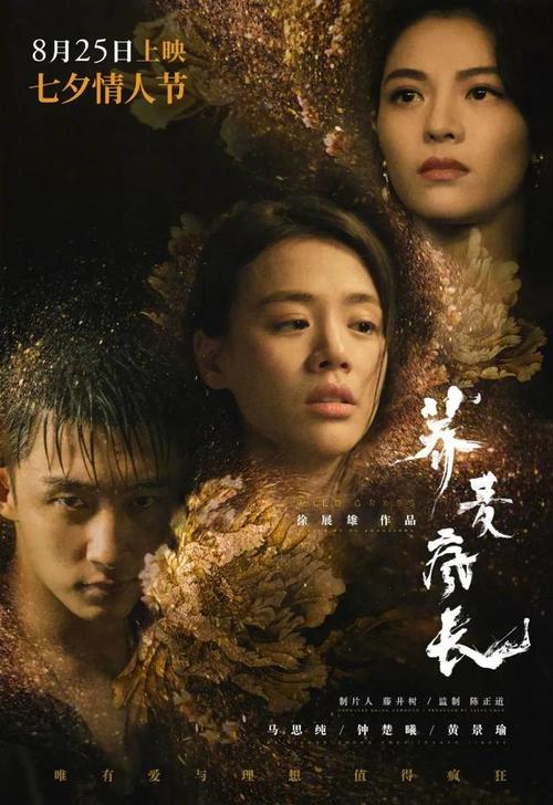 哪里可以办理假身份证